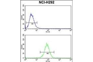 DNM3 Antibody (Center) (ABIN652780 and ABIN2842512) flow cytometry analysis of NCI- cells (bottom histogram) compared to a negative control cell (top histogram). (Dynamin 3 antibody  (AA 557-584))