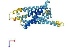 AlphaFold protein structure predicition of Mouse Recombinant Tas2r114 Protein, UniprotID Q7M722 (TAS2R114 Protein (AA 1-309) (His tag))