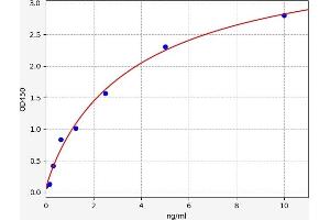 RAPGEF4 ELISA Kit