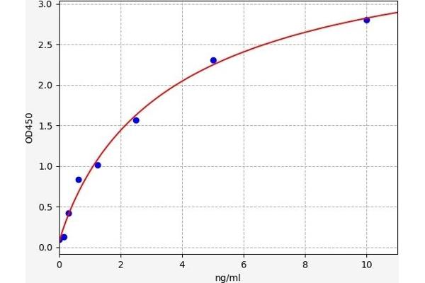 RAPGEF4 ELISA Kit