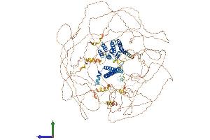 AlphaFold protein structure predicition of Mouse Recombinant Rprd2 Protein, UniprotID Q6NXI6 (RPRD2 Protein (AA 1-1469) (His tag))