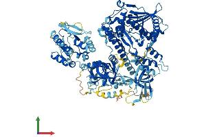 AlphaFold protein structure predicition of Mouse Recombinant Dis3 Protein, UniprotID Q9CSH3