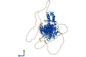 AlphaFold protein structure predicition of Mouse Recombinant Klhl1 Protein, UniprotID Q9JI74 (KLHL1 Protein (AA 1-751) (His tag))