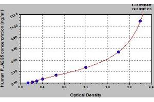 Typical Standard Curve