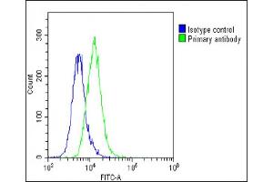 Overlay histogram showing A549 cells stained with (ABIN6243114 and ABIN6578847)(green line). (CKS2 antibody  (AA 43-77))