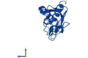Protein Structure (PS) image for Ubiquitin-Conjugating Enzyme E2B (UBE2B) (AA 1-152) protein (His tag) (ABIN7544844)