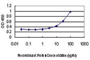 BARD1 antibody  (AA 658-757)