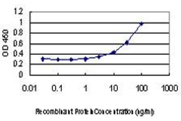 BARD1 antibody  (AA 658-757)