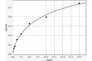 PLEC ELISA Kit