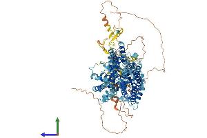 AlphaFold protein structure predicition of Human Recombinant SLC4A9 Protein, UniprotID Q96Q91 (SLC4A9 Protein (AA 1-983) (His tag))