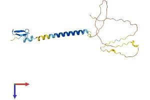 AlphaFold protein structure predicition of Mouse Recombinant Tnfrsf17 Protein, UniprotID O88472 (BCMA Protein (AA 1-185) (His tag))