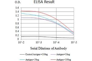 Black line: Control Antigen (100 ng),Purple line: Antigen (10 ng), Blue line: Antigen (50 ng), Red line:Antigen (100 ng) (Plexin A1 antibody  (AA 1100-1200))