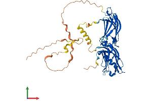 AlphaFold protein structure predicition of Mouse Recombinant Doc2a Protein, UniprotID Q7TNF0