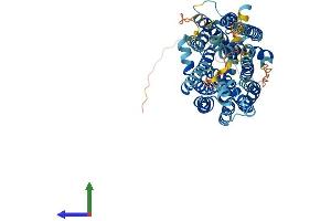 AlphaFold protein structure predicition of Human Recombinant MFSD2A Protein, UniprotID Q8NA29
