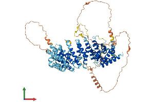 AlphaFold protein structure predicition of Human Recombinant LINS1 Protein, UniprotID Q8NG48 (LINS Protein (AA 1-757) (His tag))