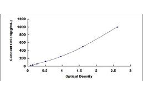 Prokineticin 1 ELISA Kit
