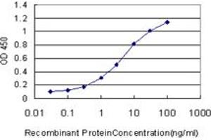 Detection limit for recombinant GST tagged TIMP2 is approximately 0. (TIMP2 antibody  (AA 27-220))