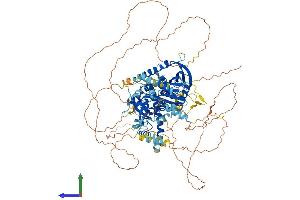 AlphaFold protein structure predicition of Human Recombinant ICE2 Protein, UniprotID Q659A1 (NARG2 Protein (AA 1-982) (His tag))