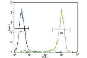 AKT antibody flow cytometric analysis of MCF-7 cells (right histogram) compared to a negative control (left histogram). (AKT1 antibody  (AA 428-457))