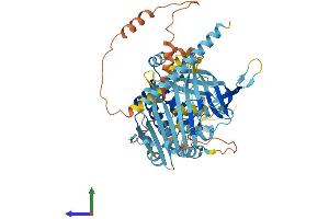 AlphaFold protein structure predicition of Human Recombinant ANKRD13A Protein, UniprotID Q8IZ07 (ANKRD13A Protein (AA 1-590) (His tag))