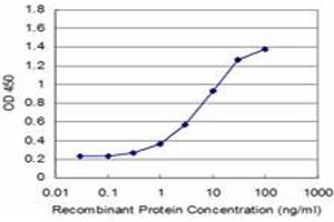 Detection limit for recombinant GST tagged ZFP161 is approximately 0. (ZBTB14/ZFP161 antibody  (AA 311-420))