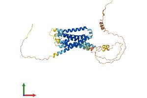 AlphaFold protein structure predicition of Human Recombinant GPR61 Protein, UniprotID Q9BZJ8 (GPR61 Protein (AA 1-451) (His tag))