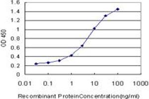 Detection limit for recombinant GST tagged TLN1 is approximately 0. (TLN1 antibody  (AA 1052-1149))