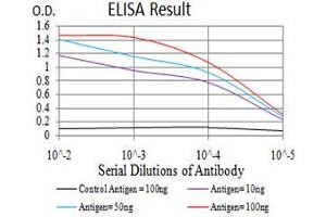 Black line: Control Antigen (100 ng),Purple line: Antigen (10 ng), Blue line: Antigen (50 ng), Red line:Antigen (100 ng) (CFHR5 antibody  (AA 344-569))