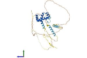 AlphaFold protein structure predicition of Mouse Recombinant Mkx Protein, UniprotID Q8BIA3 (MKX Protein (AA 1-353) (His tag))