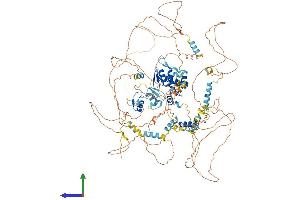 AlphaFold protein structure predicition of Mouse Recombinant Tshz1 Protein, UniprotID Q5DTH5