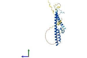Protein Structure (PS) image for Rab Interacting Lysosomal Protein-Like 2 (RILPL2) (AA 1-211) protein (His tag) (ABIN7551423)