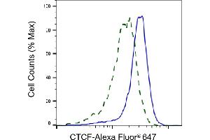 Validation of CTCF knockdown using flow cytometry. (Recombinant CTCF antibody)