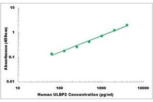 ULBP2 ELISA Kit