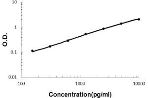 Sandwich ELISA - Recombinant human Kallikrein 1/KLK1 protein standard curve. (Kallikrein 1 antibody  (AA 25-262))