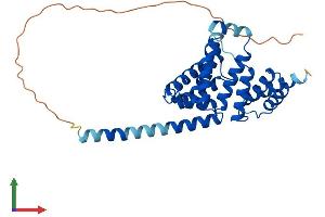 Protein Structure (PS) image for Regulator of Microtubule Dynamics 1 (RMDN1) (AA 1-314) protein (His tag) (ABIN7551503)