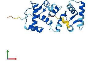 AlphaFold protein structure predicition of Human Recombinant CIB3 Protein, UniprotID Q96Q77 (CIB3 Protein (AA 1-187) (His tag))
