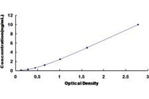 Typical standard curve