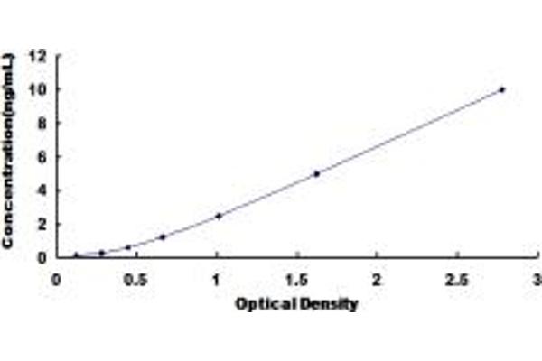 NEIL3 ELISA Kit