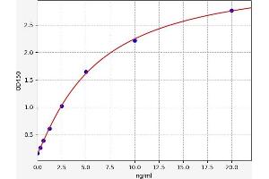 Typical standard curve (LAMb4 ELISA Kit)