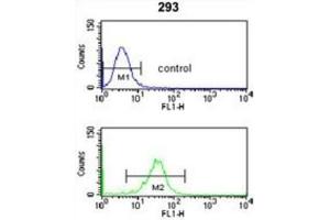 Flow Cytometry (FACS) image for anti-Nucleoporin 153kDa (NUP153) antibody (ABIN3004036) (NUP153 antibody)