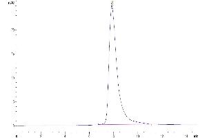 The purity of Human BTN1A1 is greater than 95 % as determined by SEC-HPLC. (BTN1A1 Protein (AA 27-242) (His-Avi Tag))