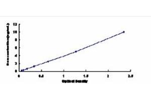 Typical standard curve (GCK ELISA Kit)