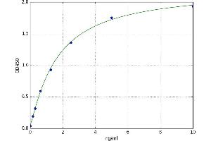 Integrin, alpha 5 (ITGA5) ELISA Kit