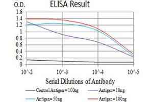 Black line: Control Antigen (100 ng),Purple line: Antigen (10 ng), Blue line: Antigen (50 ng), Red line:Antigen (100 ng) (Serotonin Receptor 3A antibody  (AA 24-157))