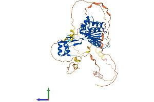 AlphaFold protein structure predicition of Mouse Recombinant Fam83e Protein, UniprotID Q80XS7 (FAM83E Protein (AA 1-481) (His tag))
