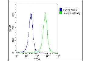 Overlay histogram showing Hela cells stained with (ABIN6242834 and ABIN6578871)(green line). (COL14A1 antibody  (AA 643-677))