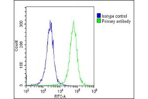 Overlay histogram showing Hela cells stained with (ABIN6242834 and ABIN6578871)(green line).