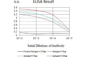 Black line: Control Antigen (100 ng),Purple line: Antigen (10 ng), Blue line: Antigen (50 ng), Red line:Antigen (100 ng) (AMBRA1 antibody  (AA 1177-1301))