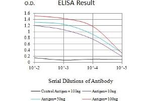 Black line: Control Antigen (100 ng),Purple line: Antigen (10 ng), Blue line: Antigen (50 ng), Red line:Antigen (100 ng) (AMBRA1 antibody  (AA 1177-1301))