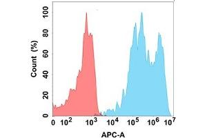 Flow cytometry analysis with Anti-TIGIT (DM178) on Expi293 cells transfected with human TIGIT (Blue histogram) or Expi293 transfected with irrelevant protein (Red histogram). (TIGIT antibody  (AA 22-141))